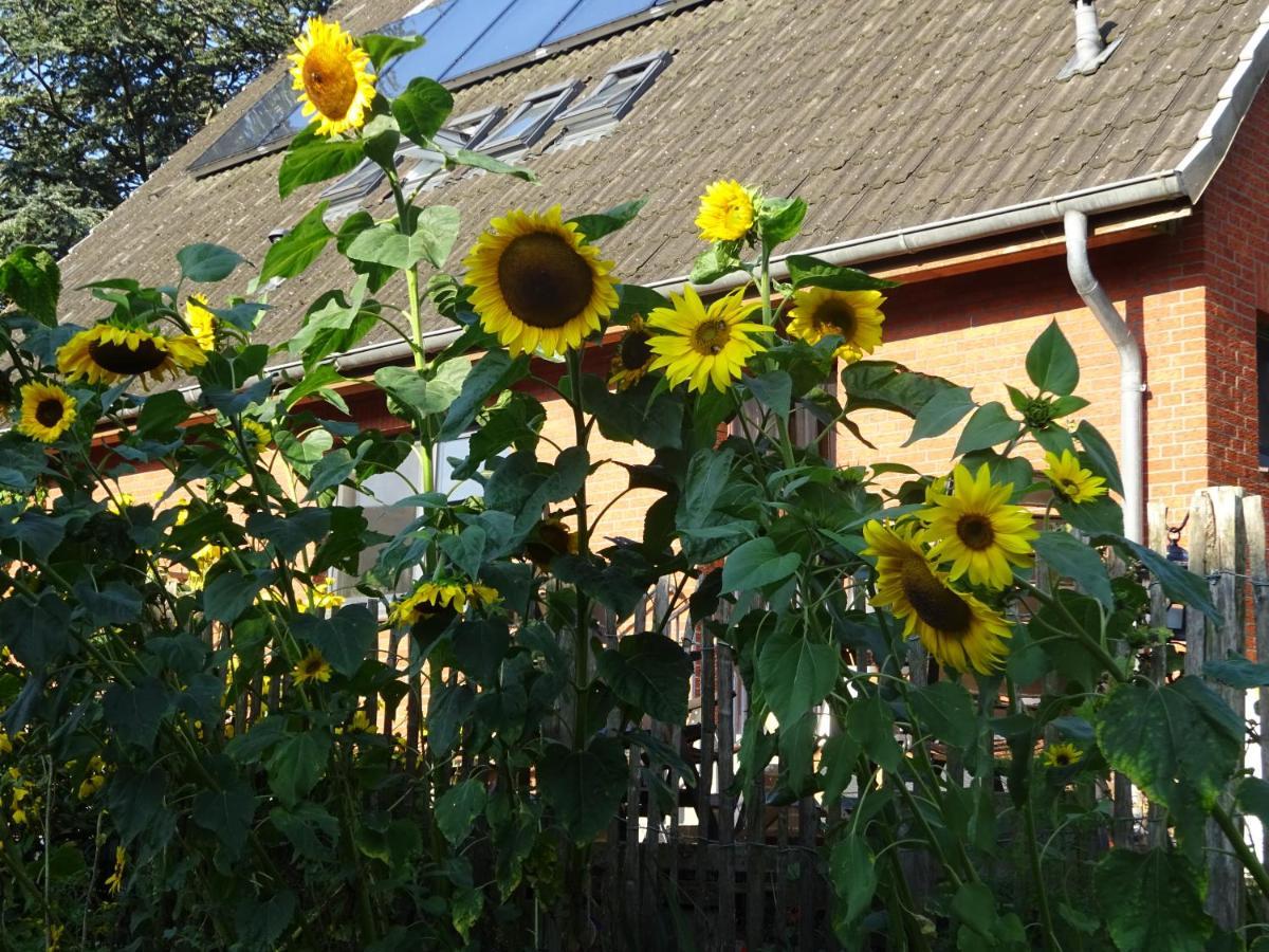 Peanuts Hostel & Meer Surendorf 외부 사진