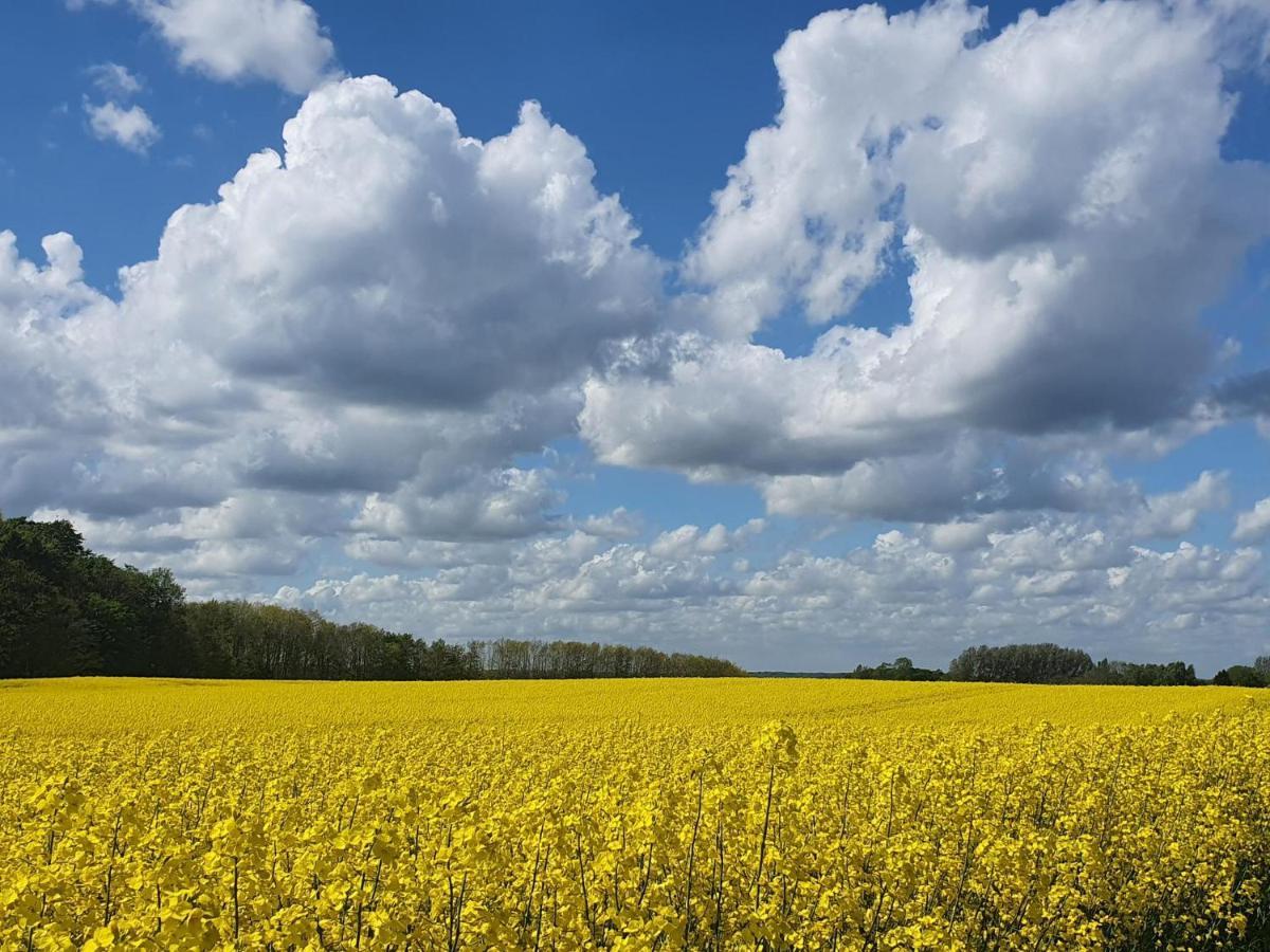 Peanuts Hostel & Meer Surendorf 외부 사진
